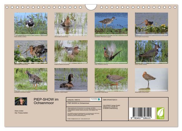 Produktbild: PIEP-SHOW im Ochsenmoor (Wandkalender 2026 DIN A4 quer), CALVENDO Monatskalender