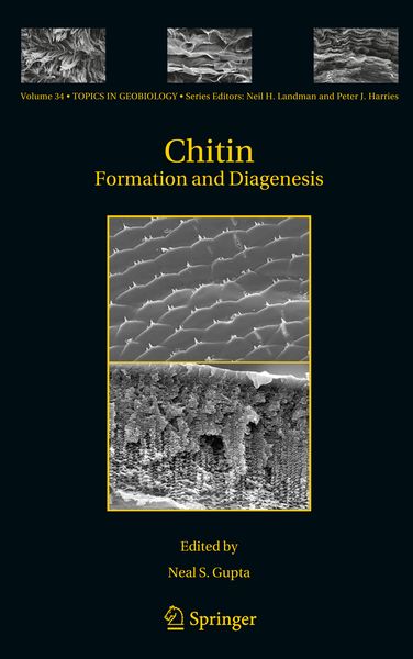 Produktbild: Chitin