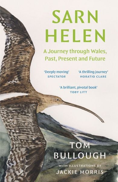 Produktbild: Sarn Helen