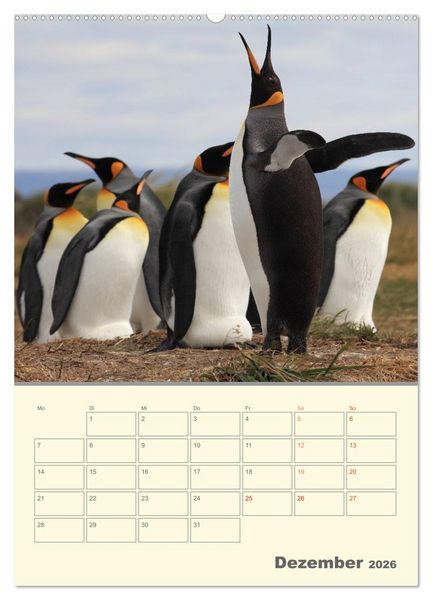 Produktbild: Mit Pinguinen durch das Jahr (Wandkalender 2026 DIN A2 hoch), CALVENDO Monatskalender