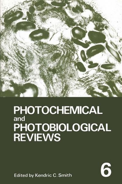 Produktbild: Photochemical and Photobiological Reviews