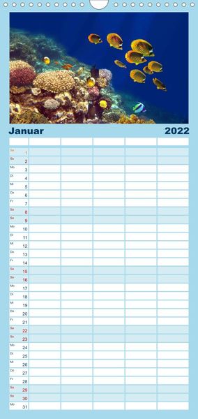 Produktbild: Riffleben - Einfach mal abtauchen - Familienplaner hoch (Wandkalender 2022 , 21 cm x 45 cm, hoch)