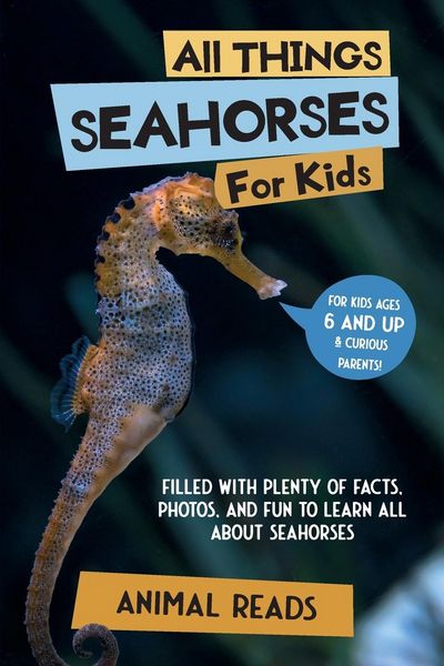 Produktbild: All Things Seahorses For Kids