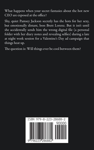 Produktbild: Billionaire Romance - Accidentally Flirting with the CEO 4