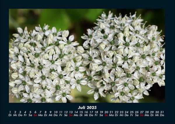 Produktbild: Blumenkalender 2025 Fotokalender DIN A4
