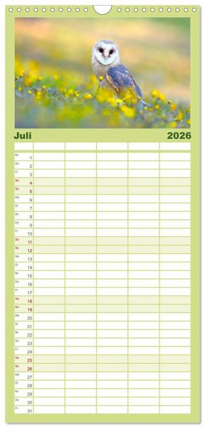 Produktbild: Familienplaner 2026 - Eulen - Wachsame und geheimnisvolle Augen mit 5 Spalten (Wandkalender, 21 x 45 cm) CALVENDO
