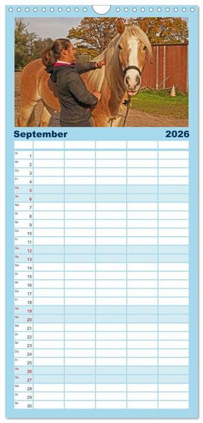 Produktbild: Familienplaner 2026 - Faszination Haflinger mit 5 Spalten (Wandkalender, 21 x 45 cm) CALVENDO