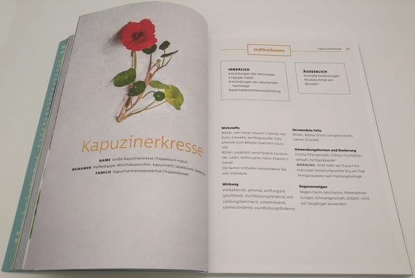 Produktbild: 10 Kr&auml;uter gegen 100 Krankheiten
