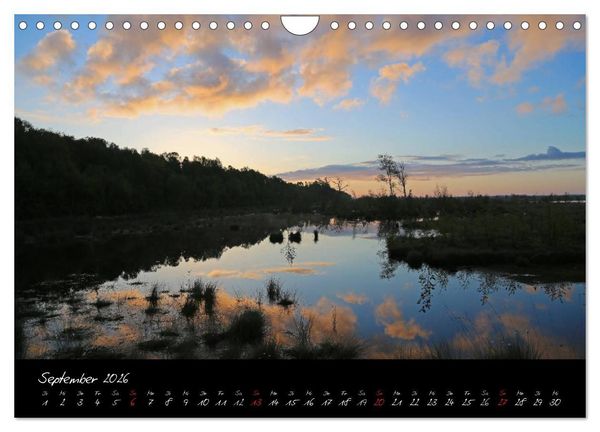Produktbild: Im Goldenstedter Moor (Wandkalender 2026 DIN A4 quer), CALVENDO Monatskalender