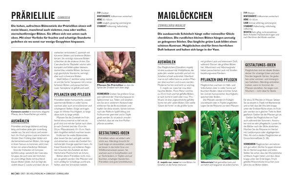Produktbild: Gr&uuml;nes Gartenwissen. Zwiebel- und Knollenpflanzen