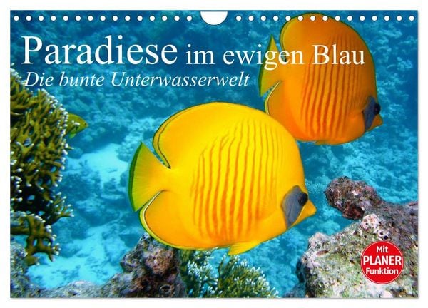 Produktbild: Paradiese im ewigen Blau. Die bunte Unterwasserwelt (Wandkalender 2026 DIN A4 quer), CALVENDO Monatskalender