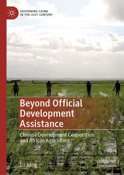 Produktbild: Beyond Official Development Assistance
