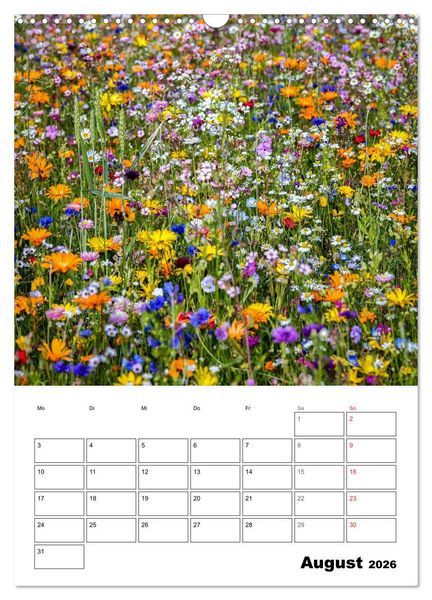Produktbild: Farben der Natur (Wandkalender 2026 DIN A3 hoch), CALVENDO Monatskalender