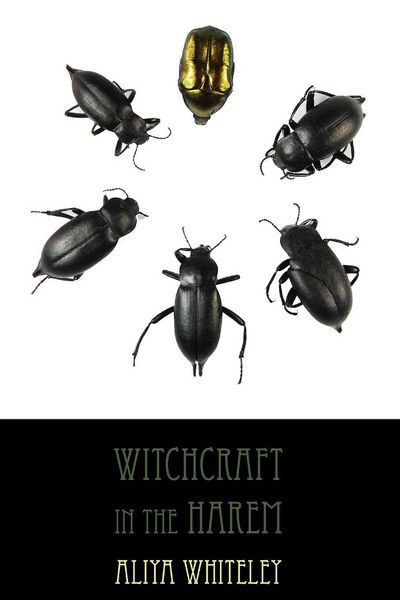 Produktbild: Witchcraft in the Harem