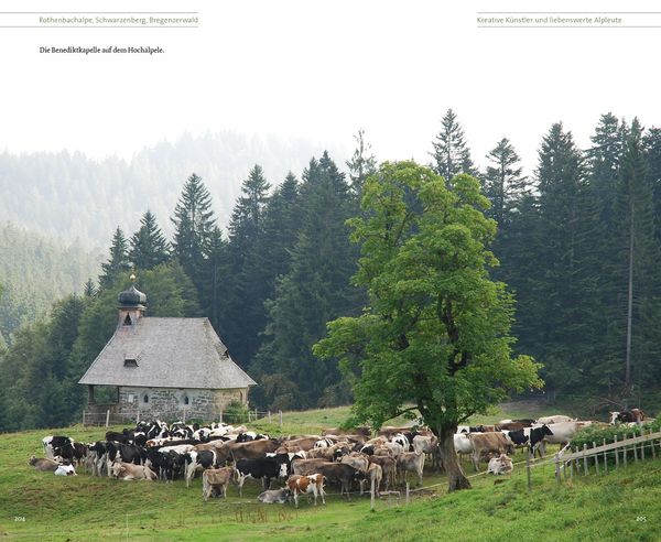 Produktbild: Vorarlberger Alpgeschichten