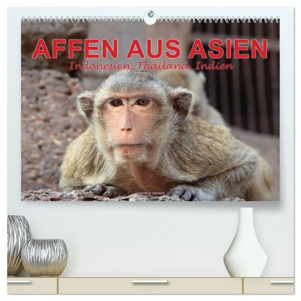 AFFEN AUS ASIEN Indonesien, Thailand, Indien (hochwertiger Premium Wandkalender 2026 DIN A2 quer), Kunstdruck in Hochglanz