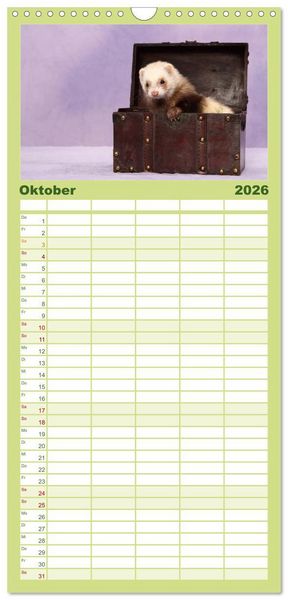 Produktbild: Familienplaner 2026 - Frettchen - Ferrets mit 5 Spalten (Wandkalender, 21 x 45 cm) CALVENDO