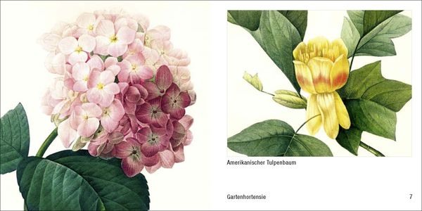 Produktbild: Historische Blumenbilder &ndash; Book To Go