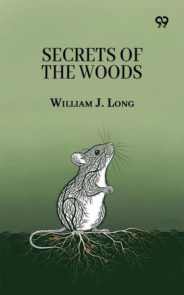 Produktbild: Secrets Of The Woods