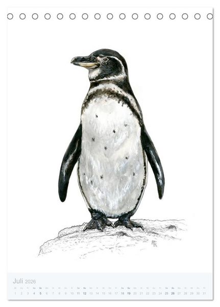 Produktbild: Pinguine - 13 Illustrationen (Tischkalender 2026 DIN A5 hoch), CALVENDO Monatskalender