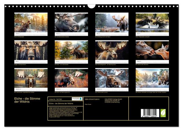 Produktbild: Elche - die Stimme der Wildnis (Wandkalender 2026 DIN A3 quer), CALVENDO Monatskalender