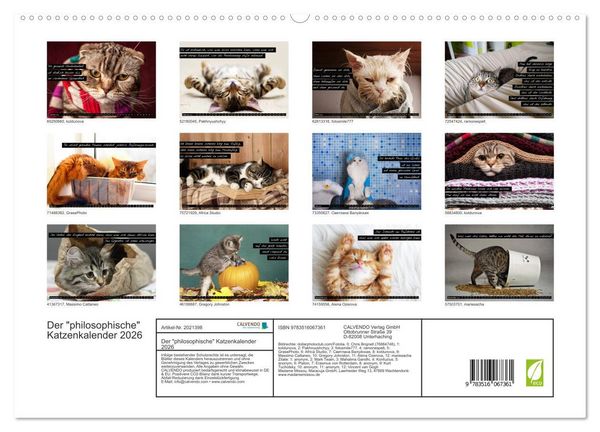 Produktbild: Der "philosophische" Katzenkalender 2026 (hochwertiger Premium Wandkalender 2026 DIN A2 quer), Kunstdruck in Hochglanz