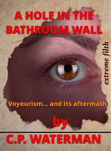 Produktbild: A Hole in the Bathroom Wall