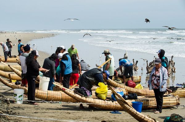 Produktbild: Ceviche, mein Lieblingsessen aus Peru - Cinespaniol 6 (OmU)