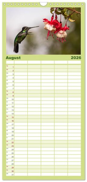 Produktbild: Familienplaner 2026 - Zauberhafte Kolibris in Costa Rica mit 5 Spalten (Wandkalender, 21 x 45 cm) CALVENDO