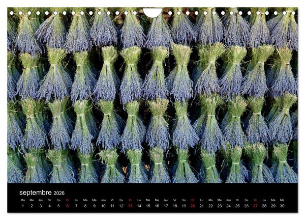 Produktbild: Lavande, l'or bleu de Provence (Calendrier mural 2026 DIN A4 vertical), CALVENDO calendrier mensuel