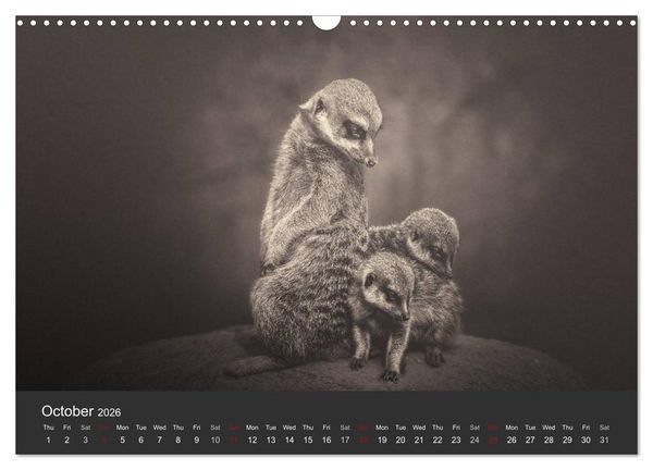 Produktbild: African Souls African animals with soul (Wall Calendar 2026 DIN A3 landscape), CALVENDO 12 Month Wall Calendar