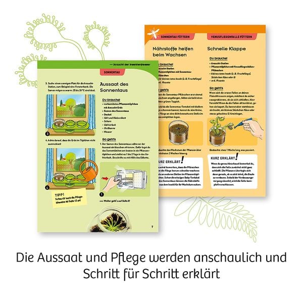 Produktbild: Fleischfressende Pflanzen