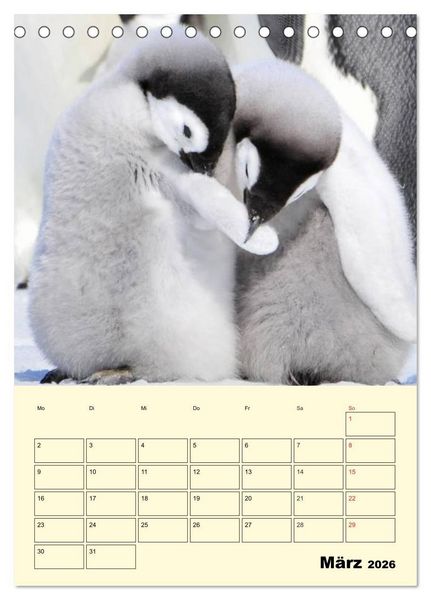 Produktbild: Pinguine. Wackeln im Thermo-Frack (Tischkalender 2026 DIN A5 hoch), CALVENDO Monatskalender