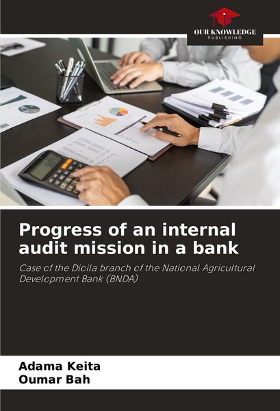 Produktbild: Progress of an internal audit mission in a bank