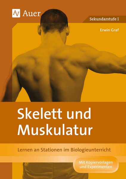 Produktbild: Skelett und Muskulatur