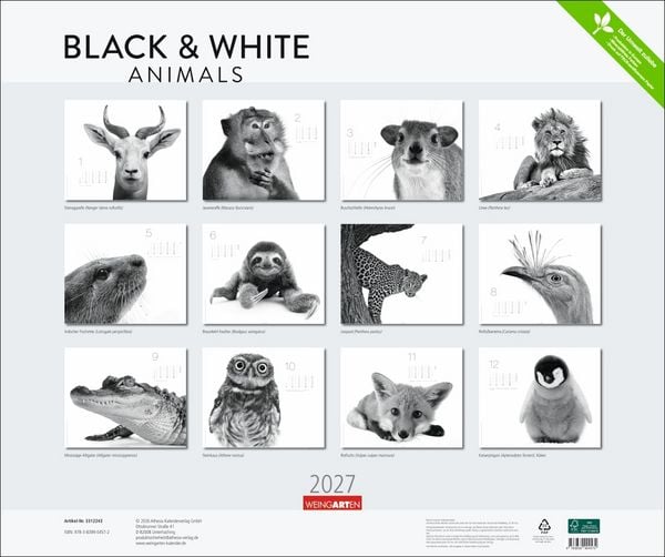 Produktbild: Black & White Animals 2027