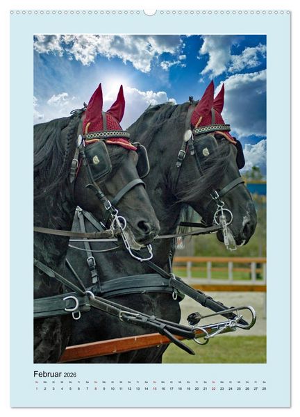 Produktbild: Kutschpferde im Portait (hochwertiger Premium Wandkalender 2026 DIN A2 hoch), Kunstdruck in Hochglanz