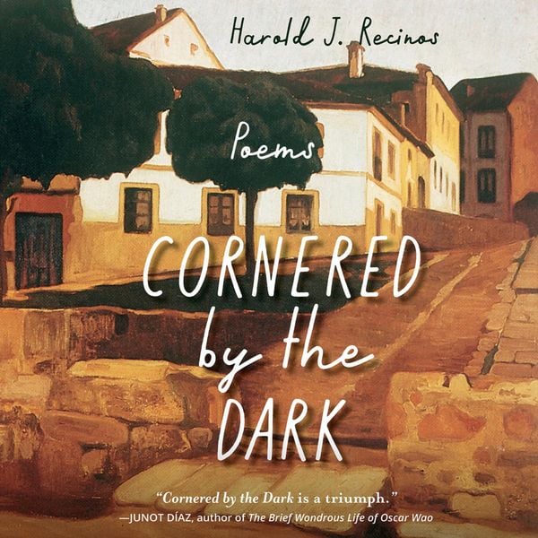 Produktbild: Cornered by the Dark