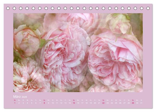 Produktbild: Romantische Rosen (Tischkalender 2026 DIN A5 quer), CALVENDO Monatskalender