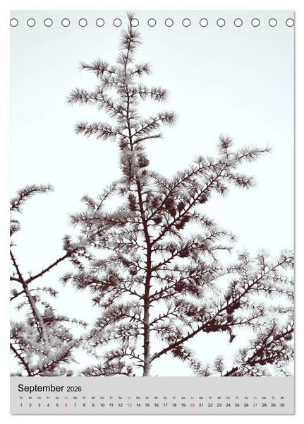 Produktbild: Natur monochrom Die besondere Wirkung (Tischkalender 2026 DIN A5 hoch), CALVENDO Monatskalender