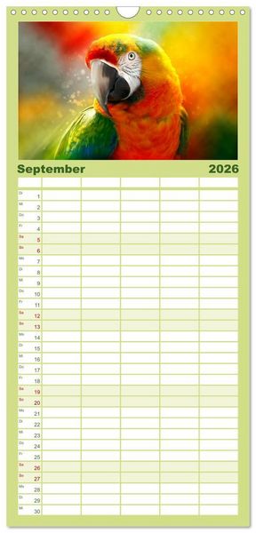 Produktbild: Familienplaner 2026 - Mein bunter Papagei mit 5 Spalten (Wandkalender, 21 x 45 cm) CALVENDO
