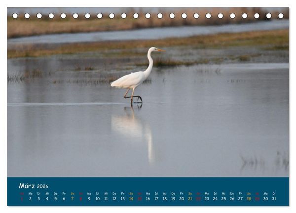Produktbild: Naturschutzgebiet W&uuml;mme (Tischkalender 2026 DIN A5 quer), CALVENDO Monatskalender