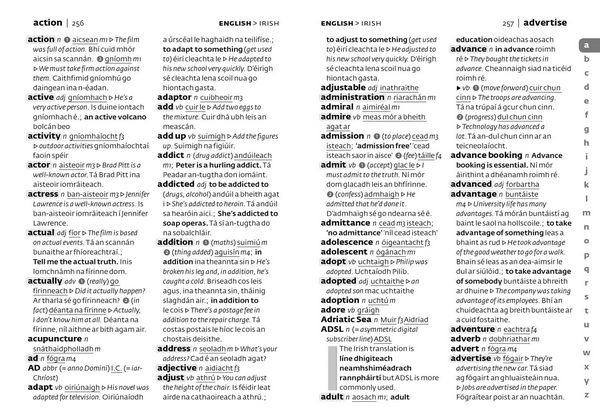 Produktbild: Irish School Dictionary