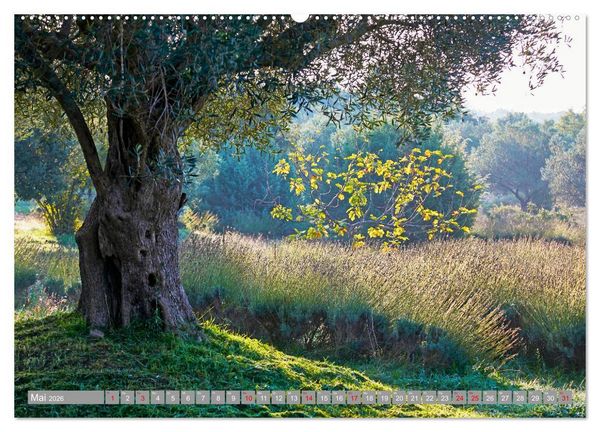 Produktbild: ISTRIEN (hochwertiger Premium Wandkalender 2026 DIN A2 quer), Kunstdruck in Hochglanz