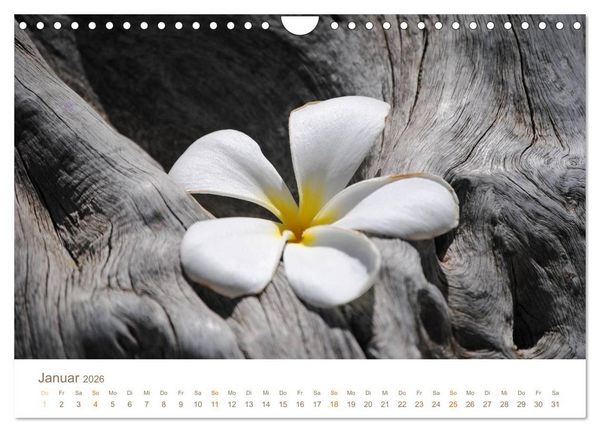 Produktbild: Hawaii Paradies auf Erden (Wandkalender 2026 DIN A4 quer), CALVENDO Monatskalender