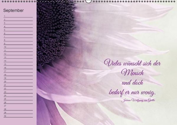 Produktbild: Spruchreifer Geburtstagskalender (Wandkalender immerw&auml;hrend DIN A2 quer)