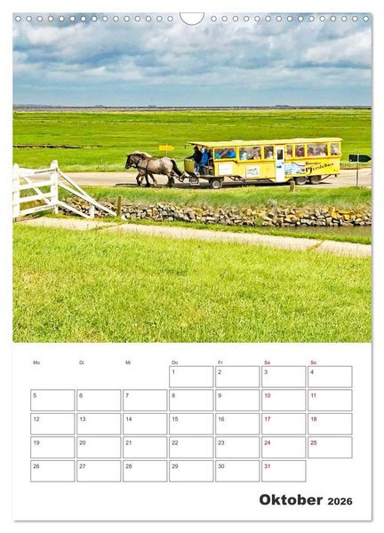 Produktbild: Hallig Hooge - Reiseplaner (Wandkalender 2026 DIN A3 hoch), CALVENDO Monatskalender