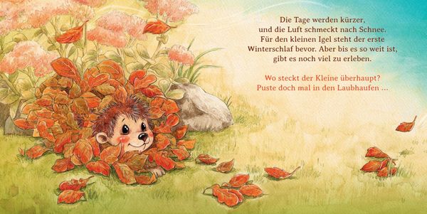 Produktbild: Schlaf sch&ouml;n, kleiner Igel (Mini-Ausgabe)