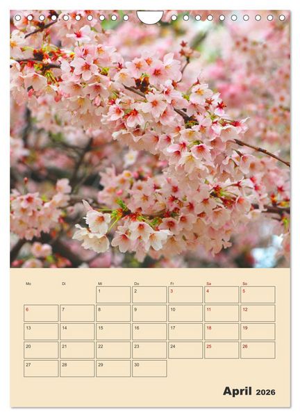 Produktbild: Tokio - Terminplaner (Wandkalender 2026 DIN A4 hoch), CALVENDO Monatskalender