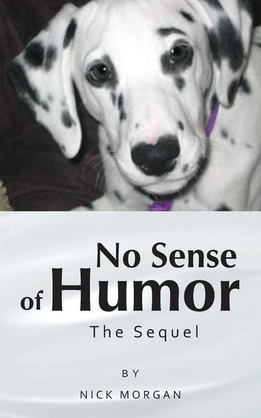 Produktbild: No Sense of Humor